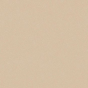 Линолеум Таркетт АКЦЕНТ ПРО Аспект 5/ Tarkett ACCZENT PRO Aspect 5 (3,0м/2,0мм)