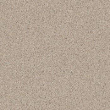 Линолеум Таркетт ПРАГМАТИК Фокус 1/ Tarkett PRAGMATIC Focus 1 (3,0м/2,0мм)