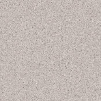 Линолеум Таркетт ПРАГМАТИК Фокус 2/ Tarkett PRAGMATIC Focus 2 (4,0м/2,0мм)